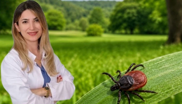 Yazın doğa keyfiniz kabusa d&ouml;n&uuml;şmesin! Keneye dikkat!